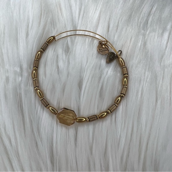 Alex and Ani Jewelry - Alex and Ani Rafaelian Gold and Gold Crystal Charm Bangle